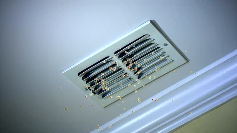Best Affordable HVAC Duct Cleaning  in Merritt Island, FL