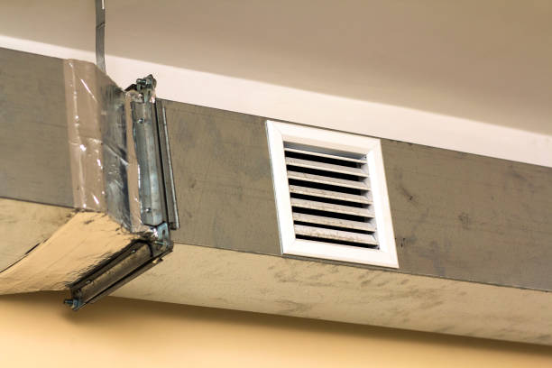Best Air Duct Mold Removal  in Merritt Island, FL
